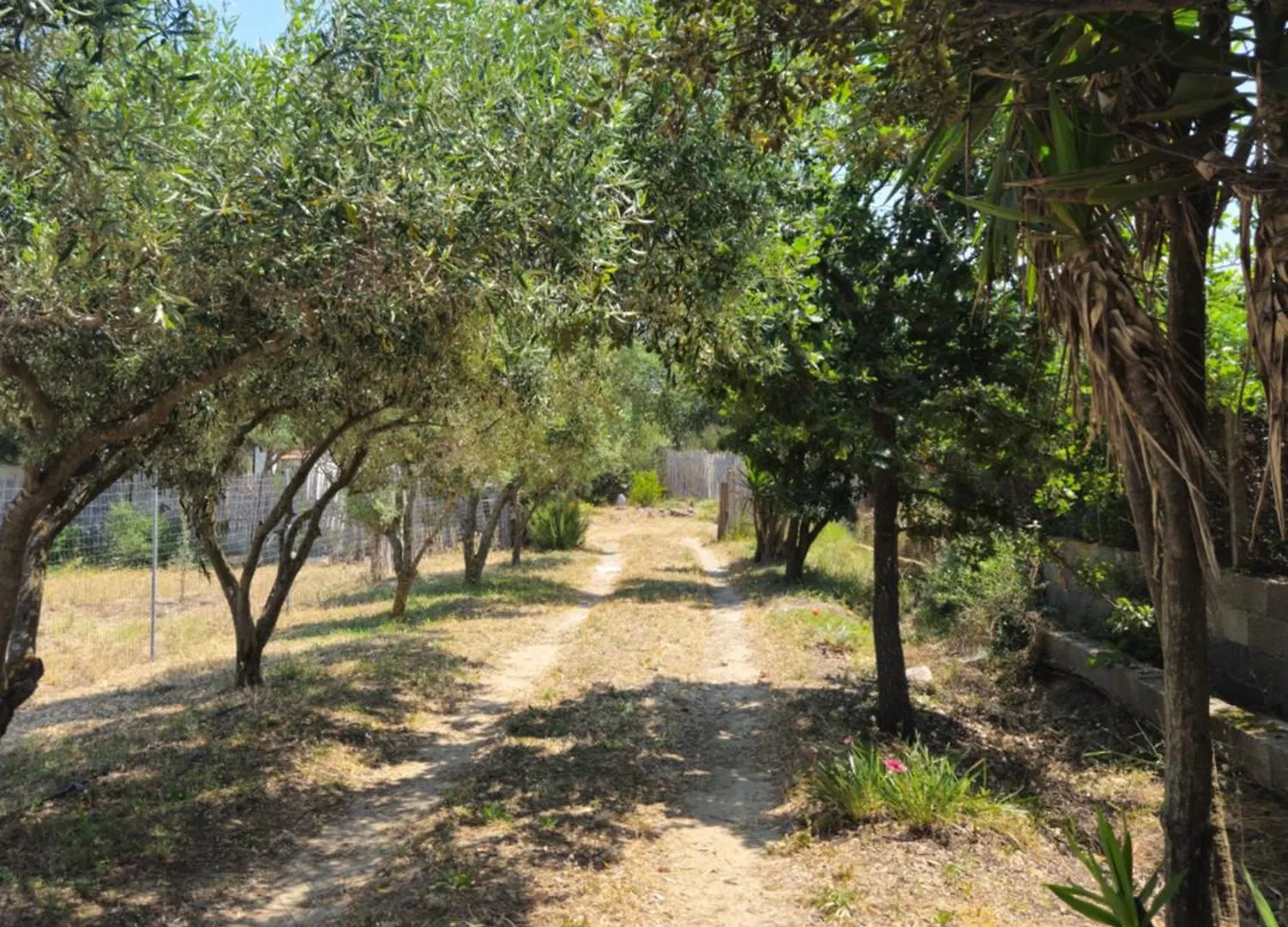 SantʼAntìoco Country House La Grande Quercia إيطاليا